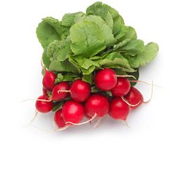 Natural probiotic preservative system